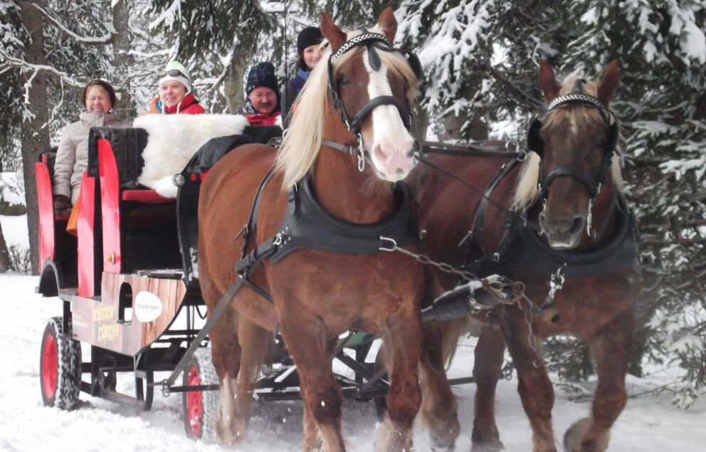 Eine Pferdekutsche mit zwei Pferden im Schnee die mehrere Personen transportiert