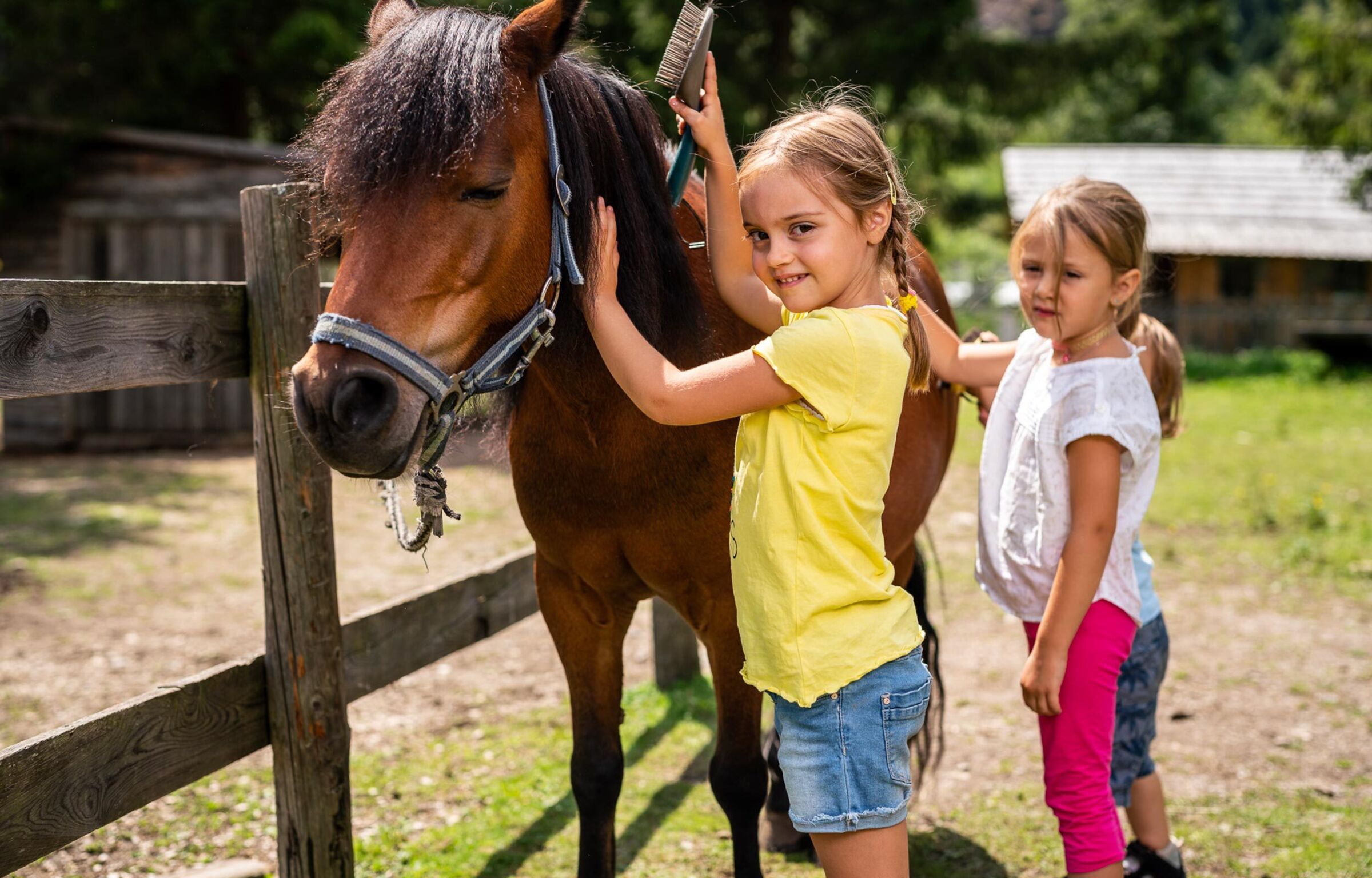 Zwei kleine Mädchen striegeln ein braunes Pony in Kärnten.