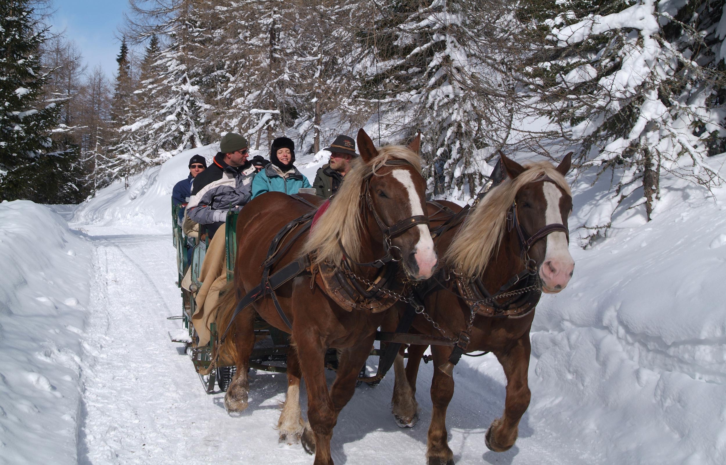 A horse-drawn carriage drives along a snow-covered path in a wintry landscape.